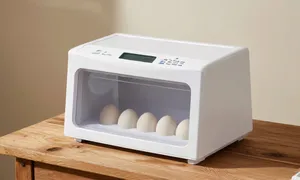 Inkubator do jaj - jak wybrać i używać krok po kroku